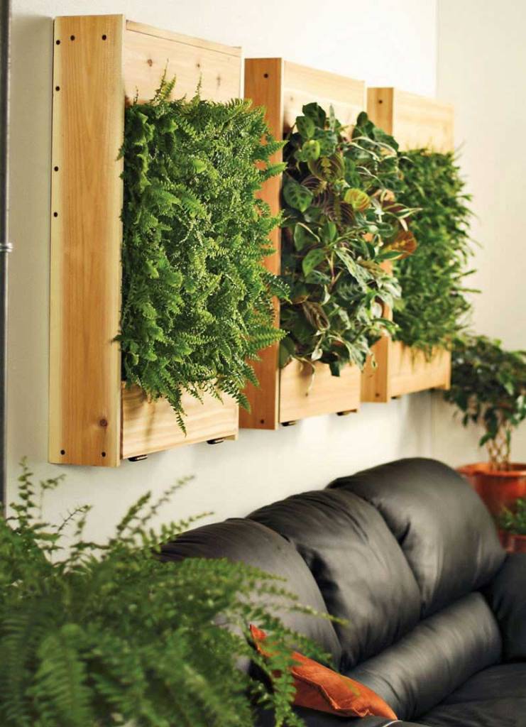 living room with green wall