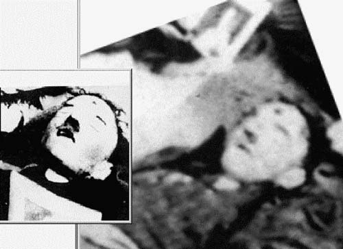 Adolf hitler death