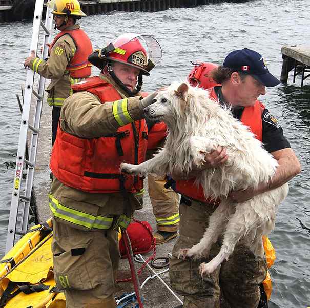 23 Incredibly Heroic Real Life Firefighters Photos In Action