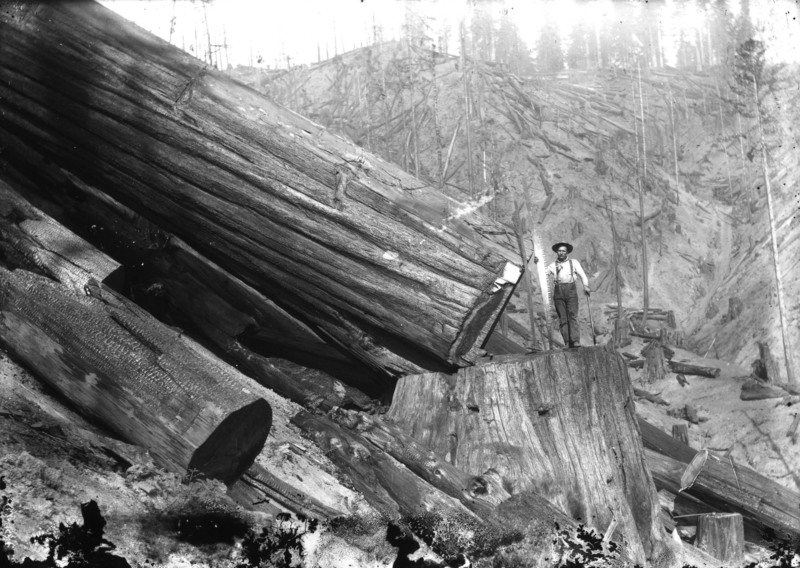 Lumberjacks Photos