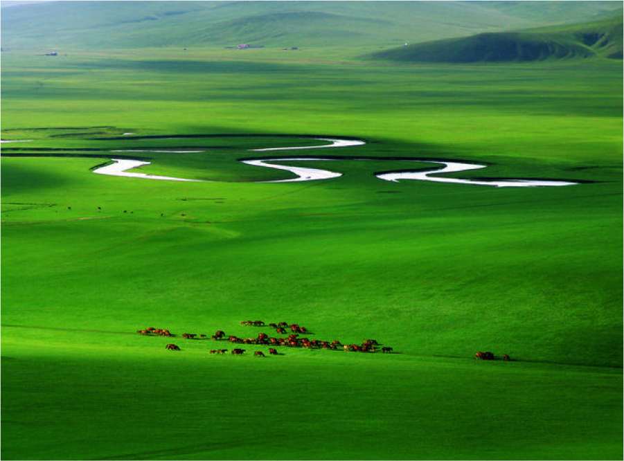 largest grasslands in the world