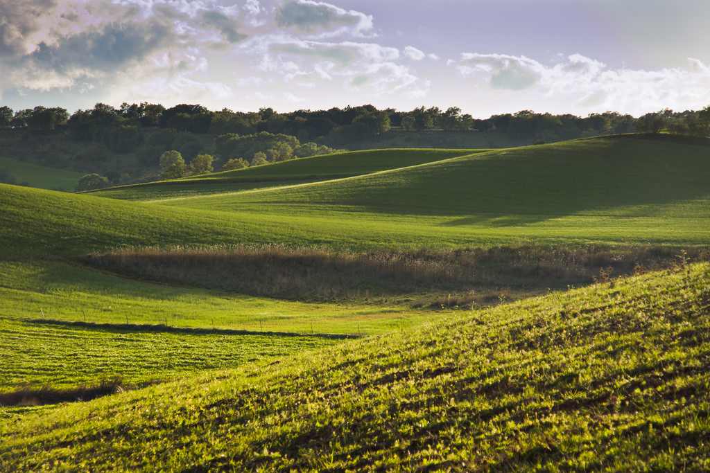 largest grasslands in the world