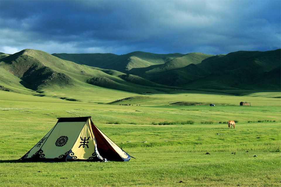 largest grasslands in the world